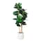 4ft. Fiddle Leaf Tree in Decorative White Planter